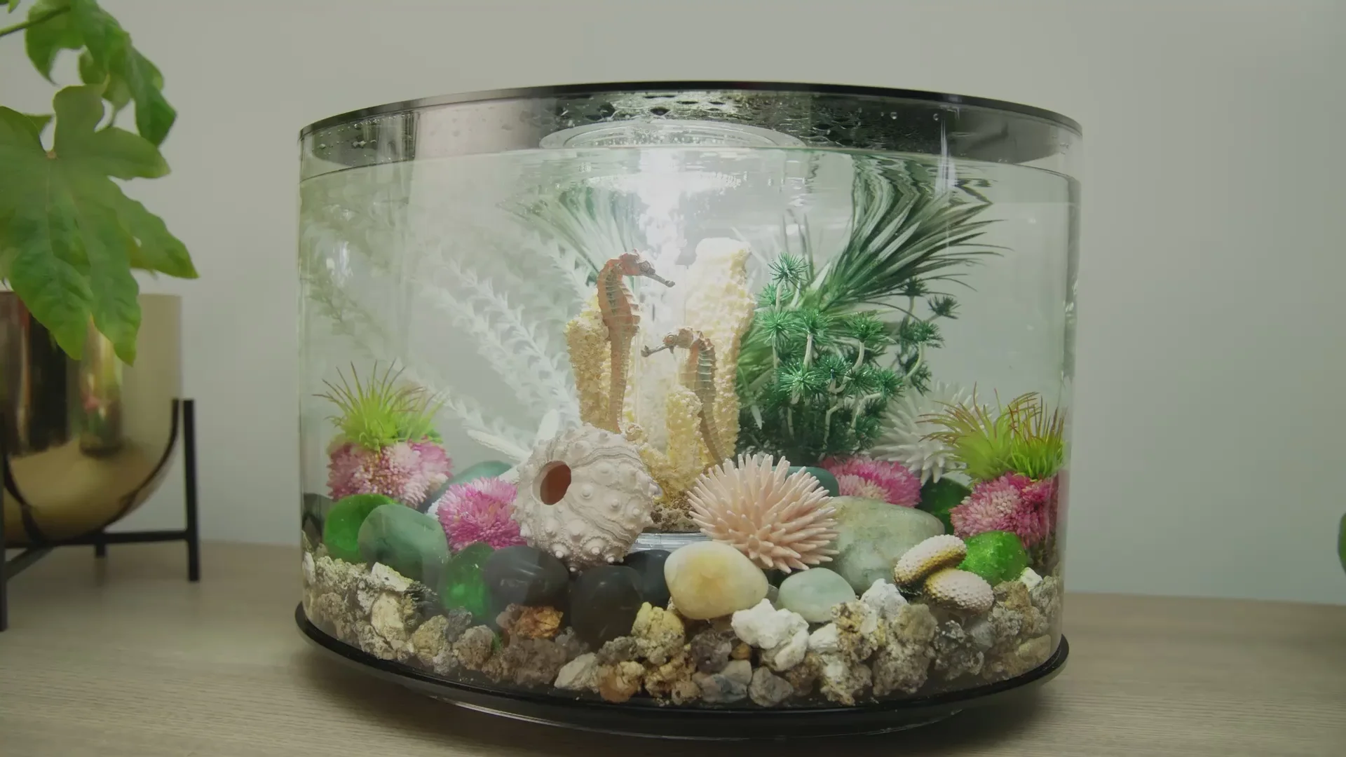 Breathe Life Into Your Space